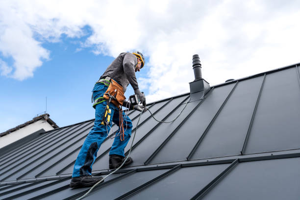 Best Roof Maintenance and Cleaning  in Murphy, NC